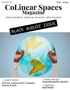 CoLinear Spaces Zine Black August Cover