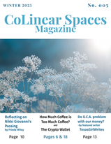 CoLinear Spaces Winter 2025 Cover