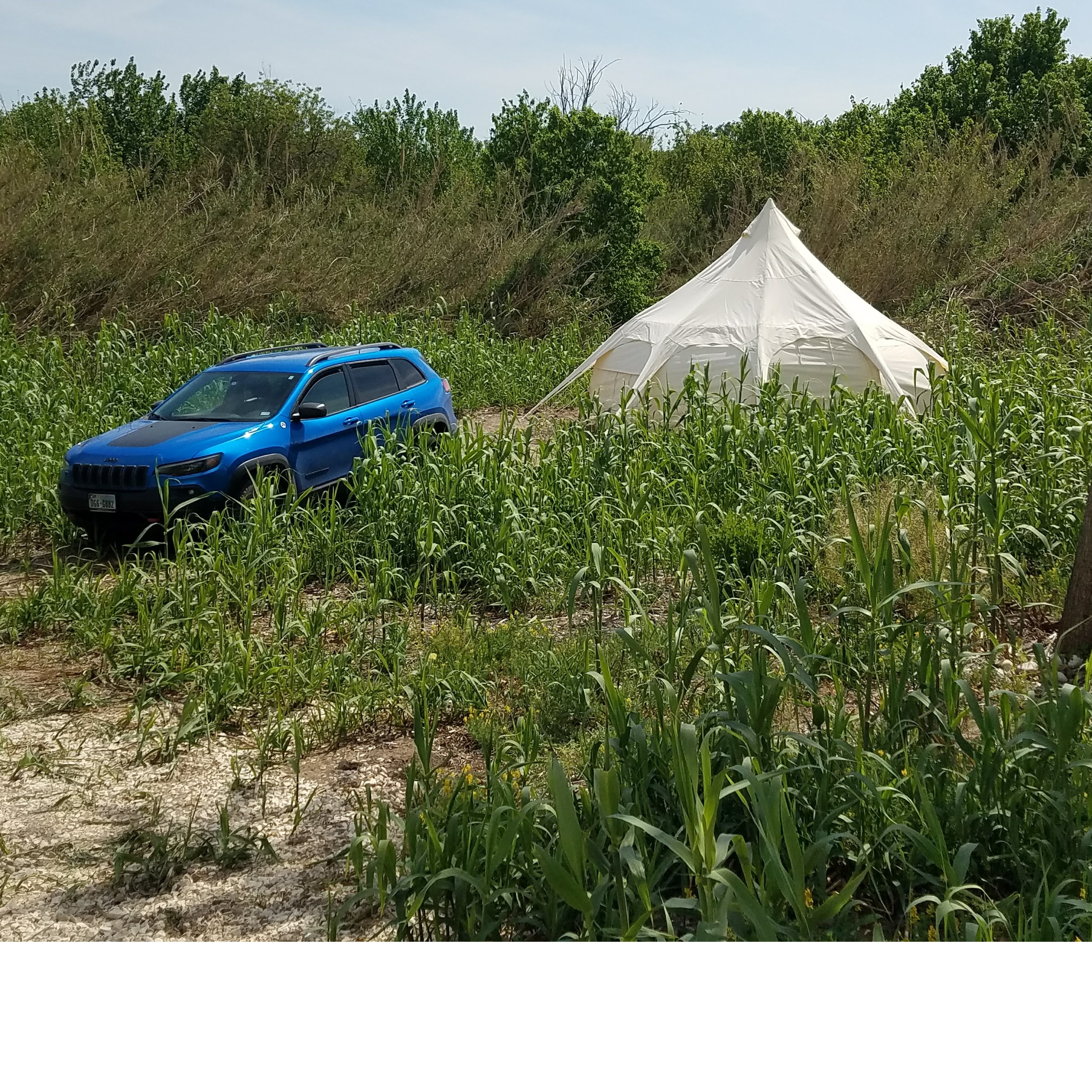 Lotus Belle and Jeep